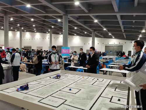 衡實學子在全國中小學信息技術創新與實踐大賽中再續輝煌